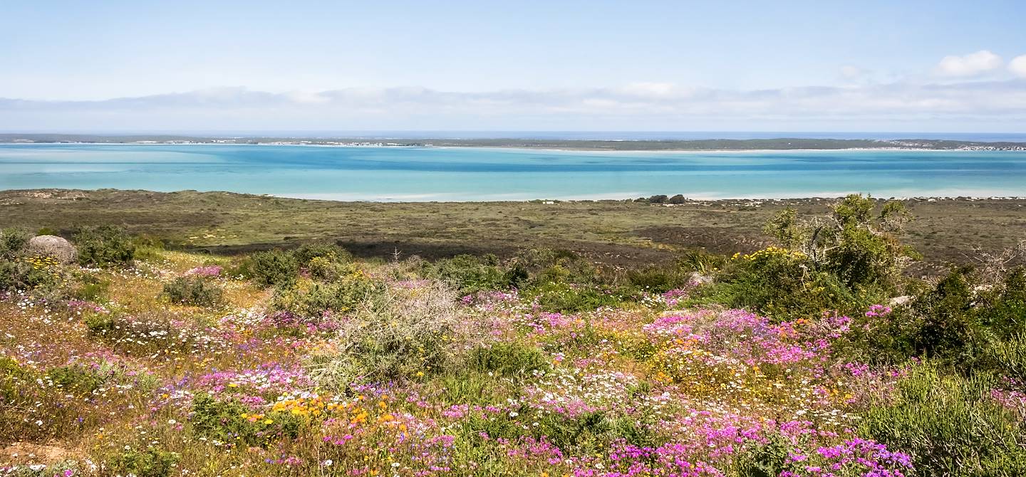 Parc national de la Côte Ouest - Afrique du Sud