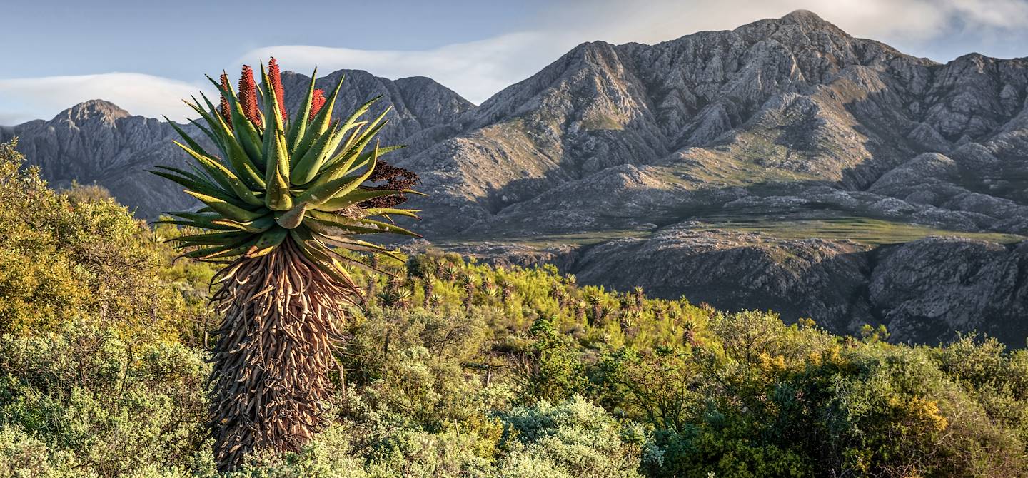 Parc national du Karoo - Afrique du Sud