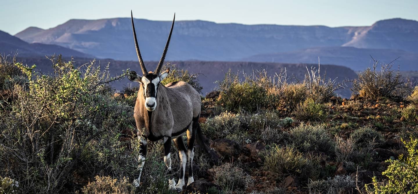Parc national du Karoo - Afrique du Sud
