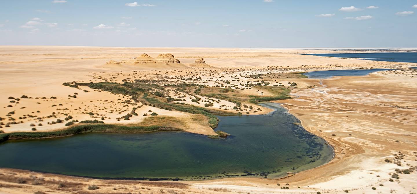 Vallée des Baleines - Oasis de Fayoum - Egypte