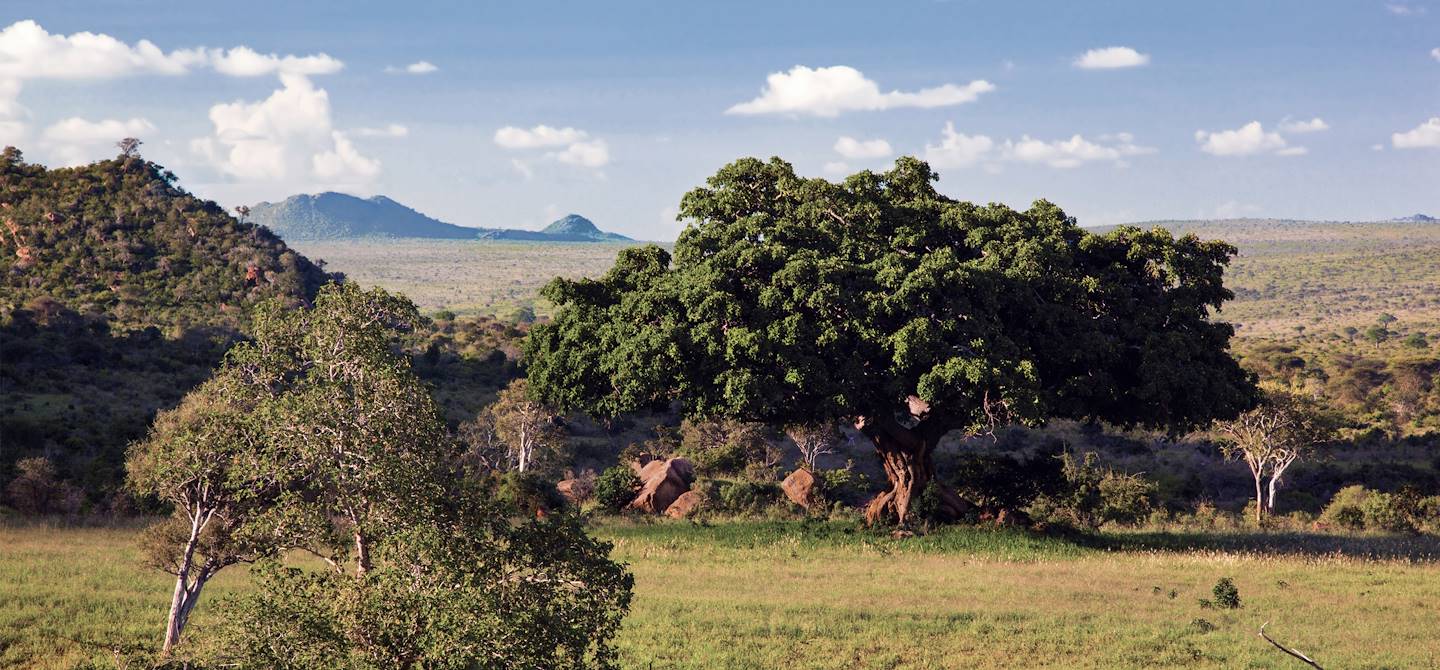Parc national de Tsavo West - Kenya