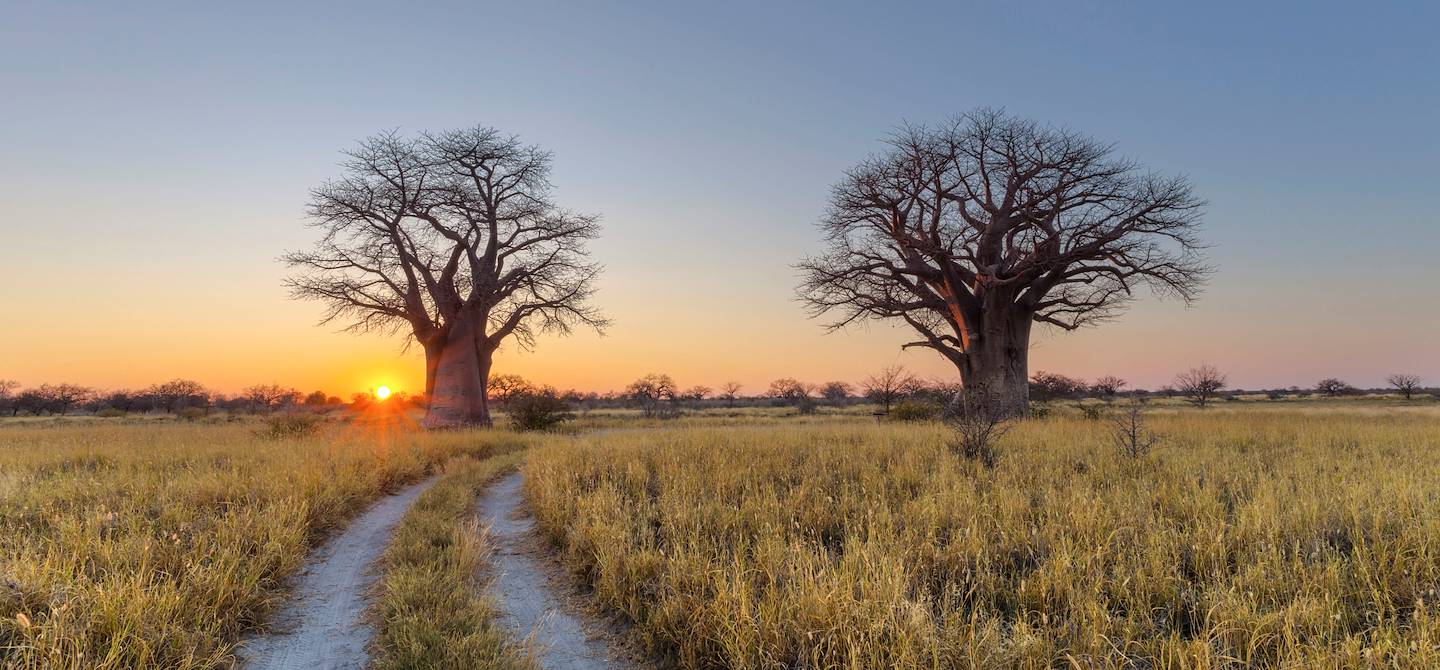 Parc national de Nxai Pan - Botswana