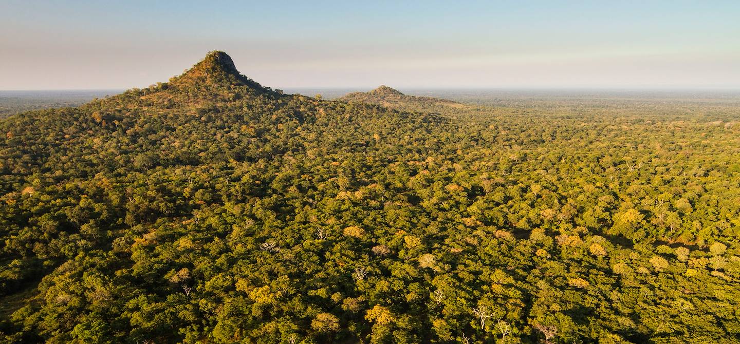 Parc national de Gorongosa - Mozambique