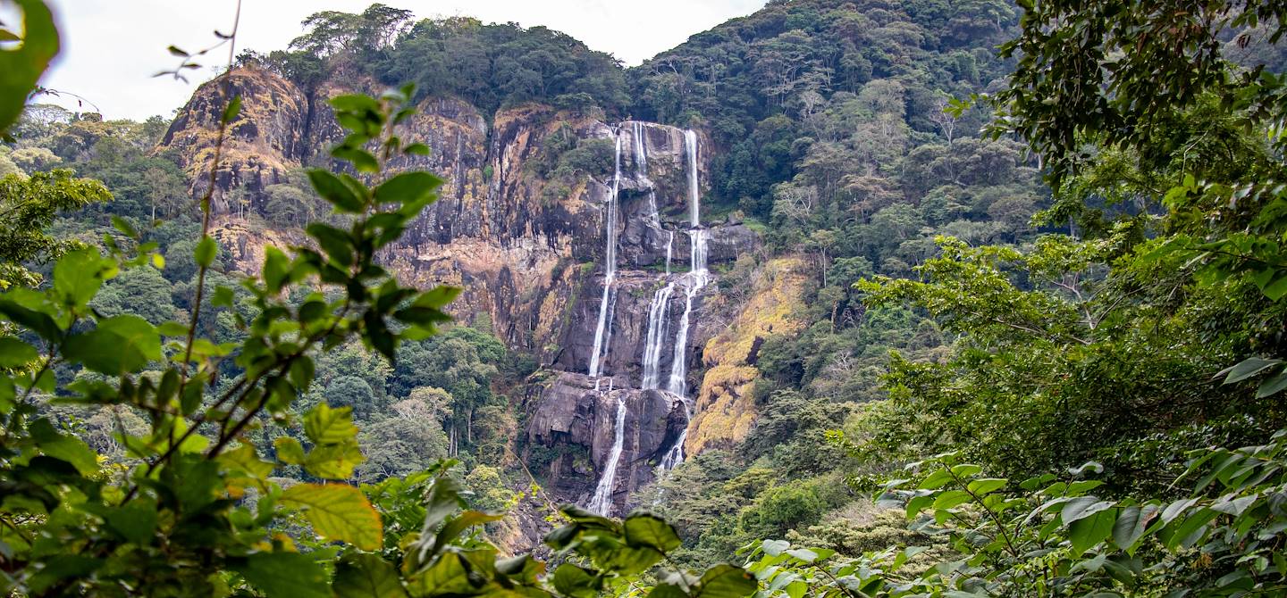 Cascade du parc national d'Udzungwa - Tanzanie