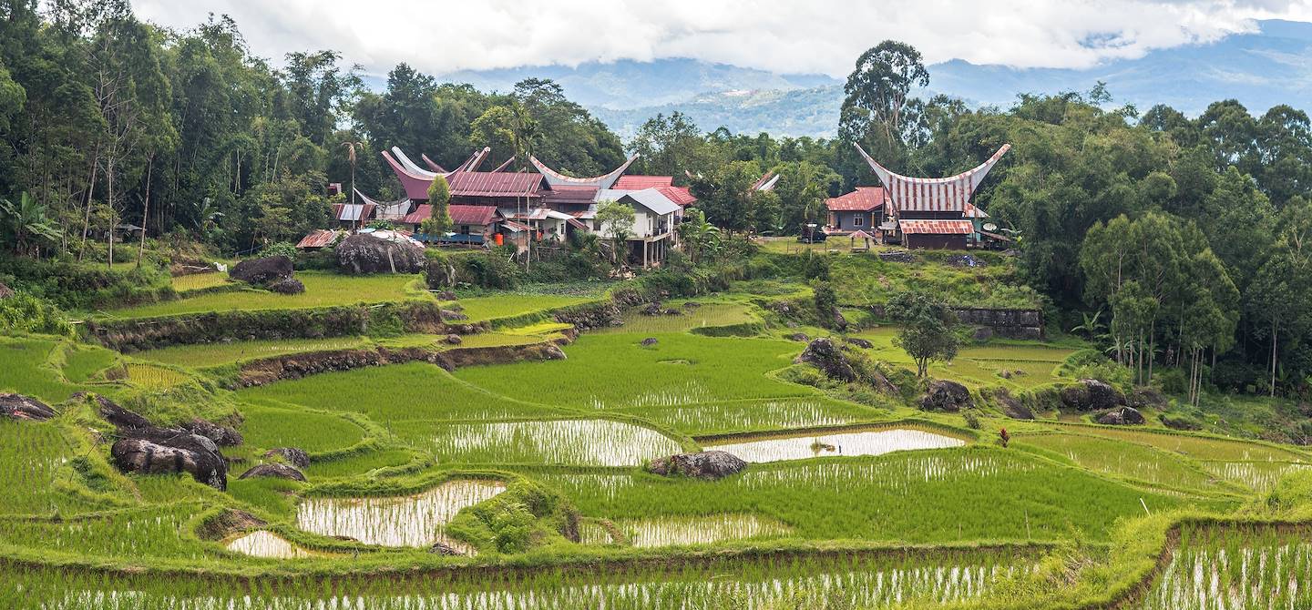 Rantepao - Sulawesi du Sud - Indonésie