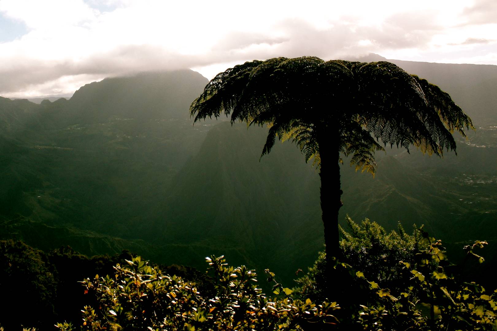 Bélouve - La Réunion