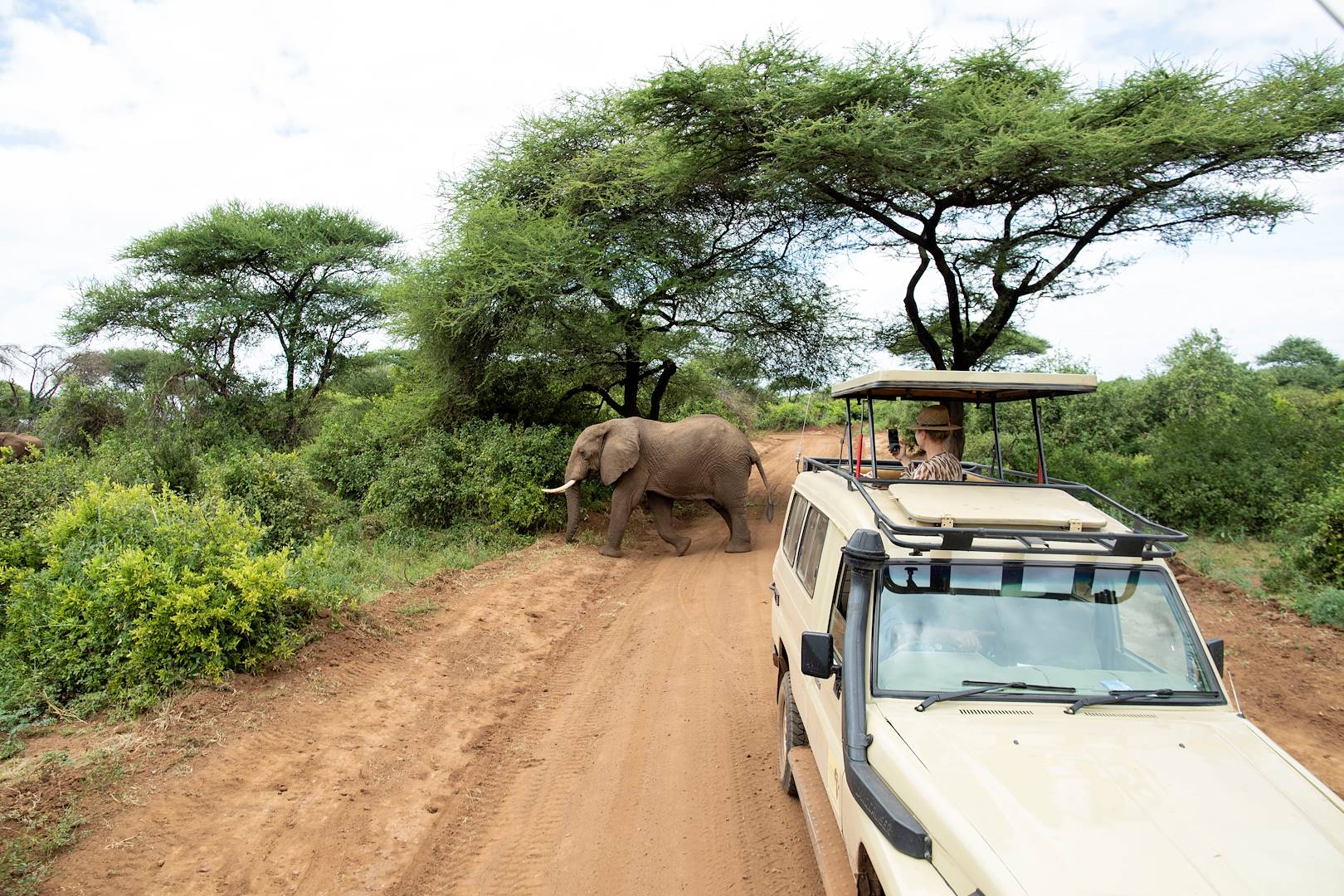 À la découverte du Parc National du Lac Manyara - Parc du Lac Manyara - Nord - Tanzanie