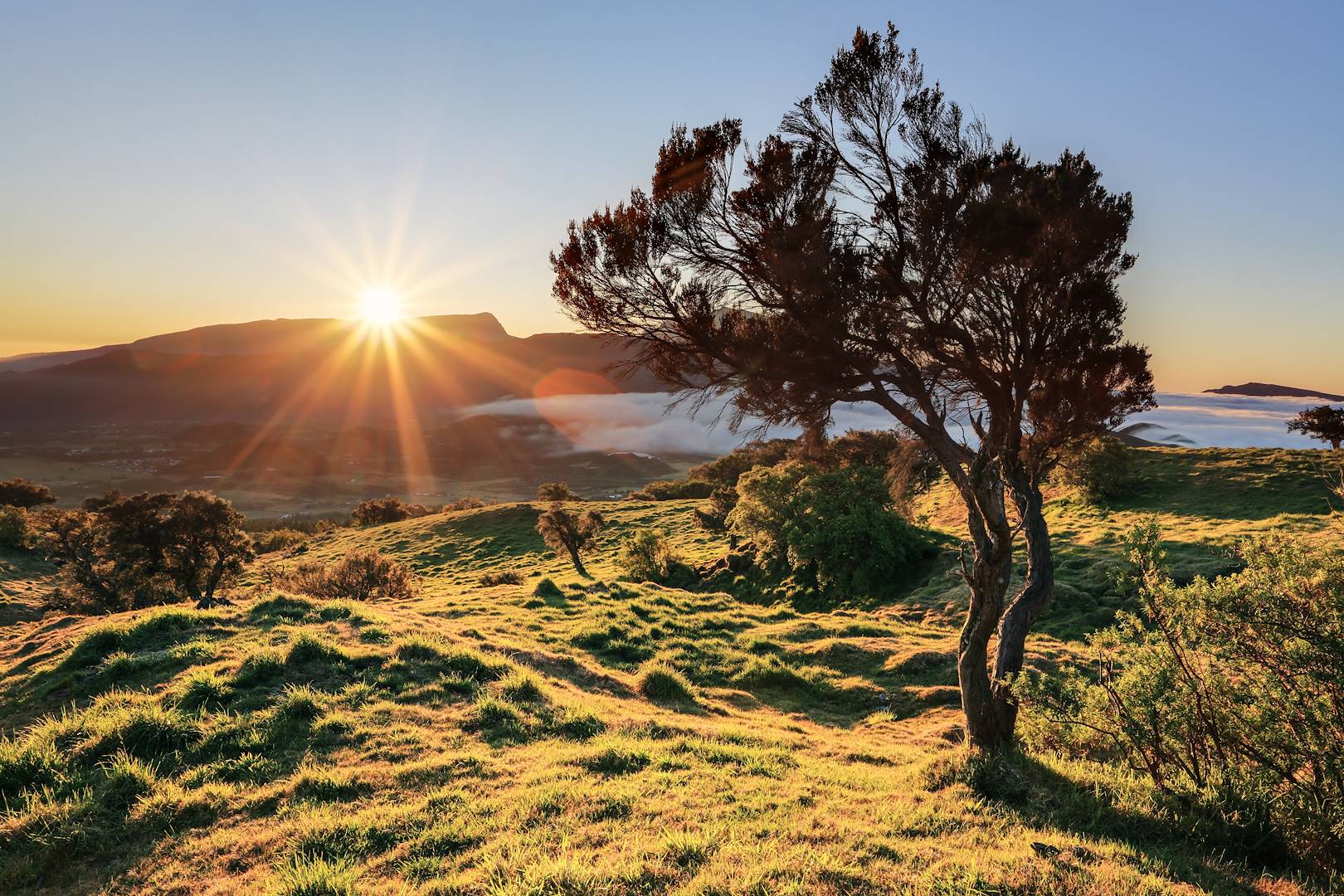 Plaine des cafres - La Réunion