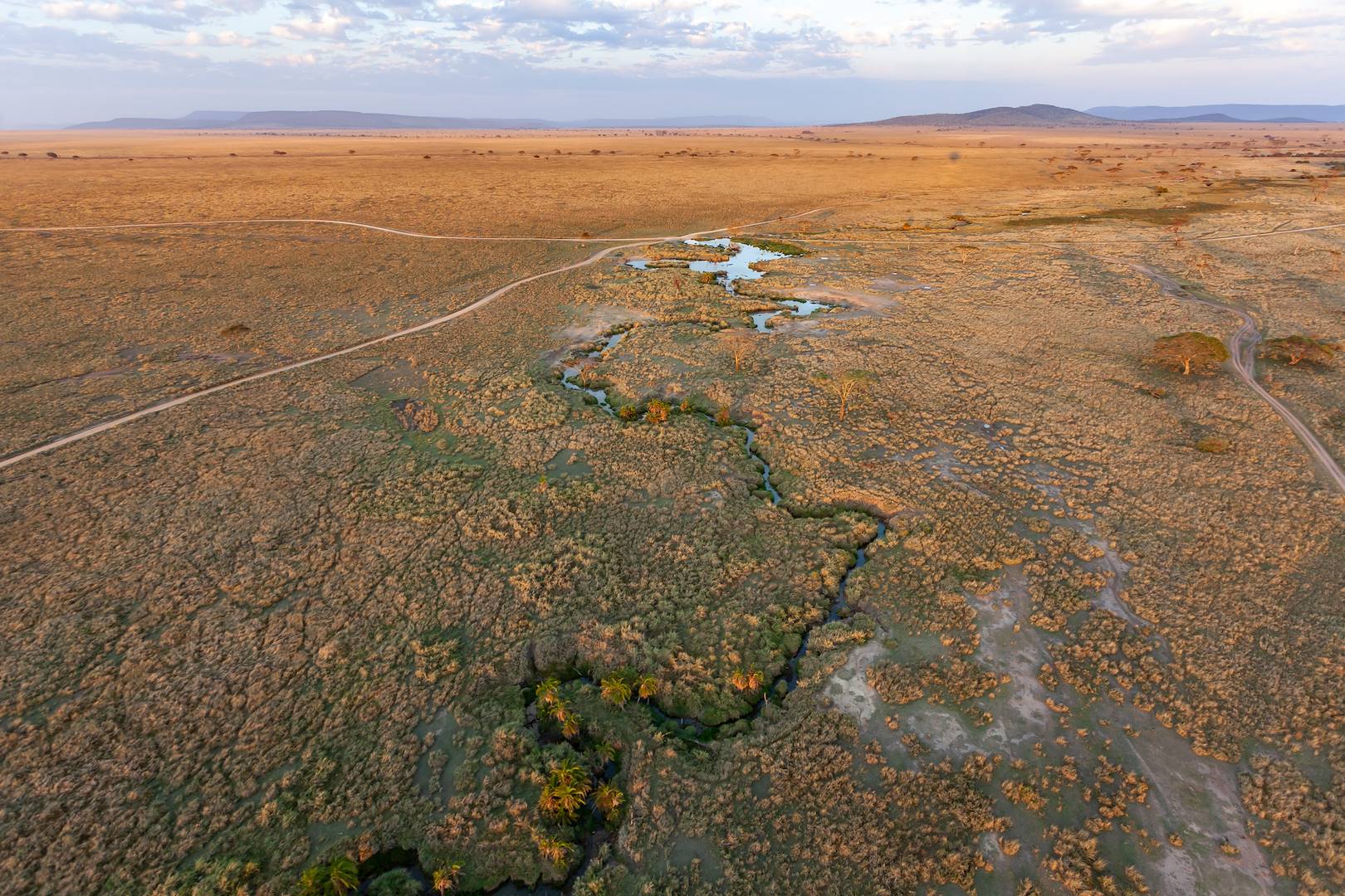Serengeti vu du ciel, dans une montgolfière - Parc du Serengeti - Tanzanie