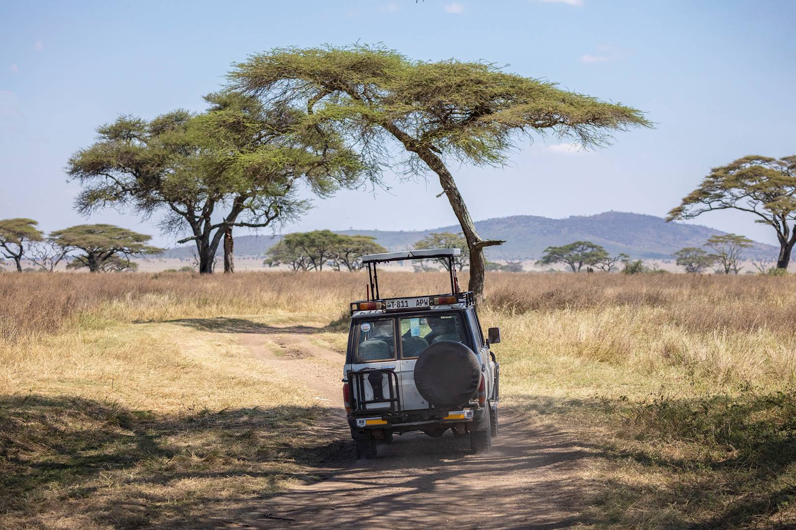 Safari dans le Parc National du Serengeti - Tanzanie