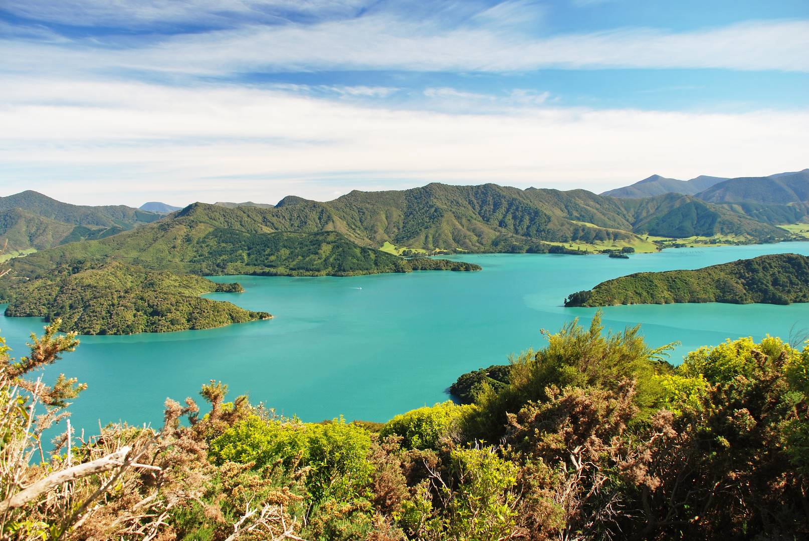 Les Marlborough Sounds - île du Sud - Nouvelle Zélande