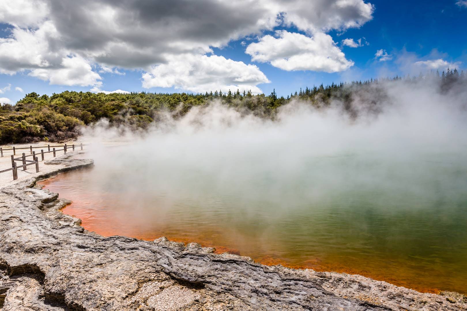 Parc géothermique de Wai-O-Tapu - Ile du Nord - Nouvelle-Zélande
