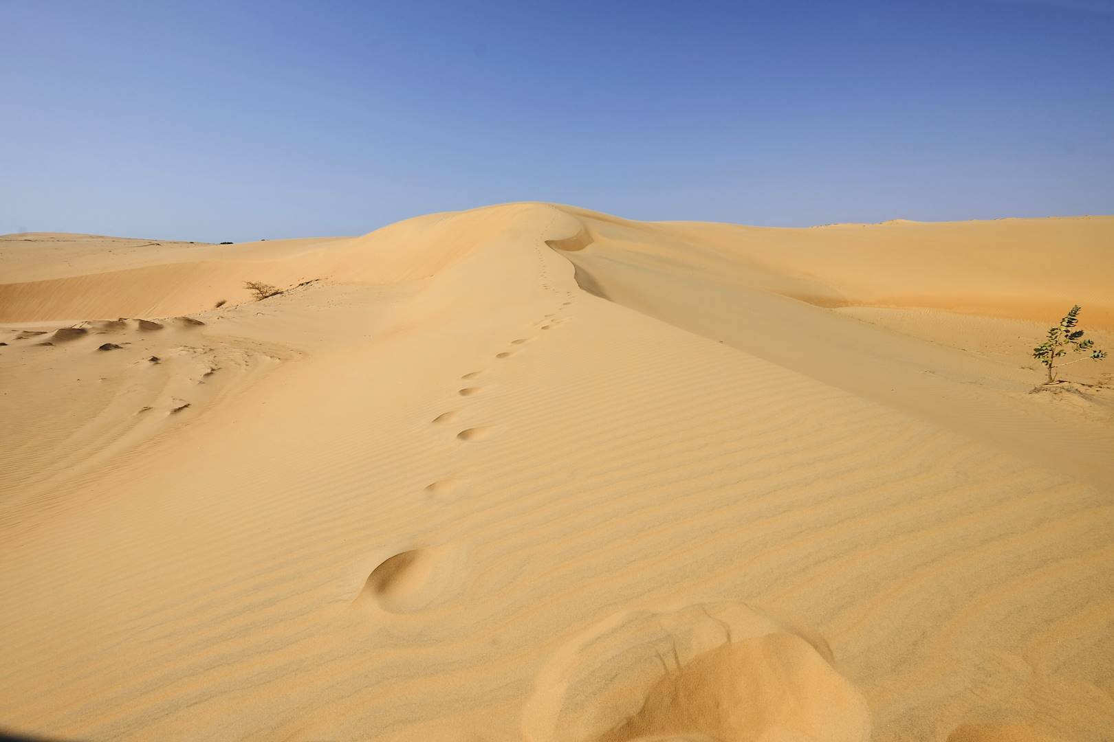 Le désert de Lompoul - Région de Louga - Sénégal