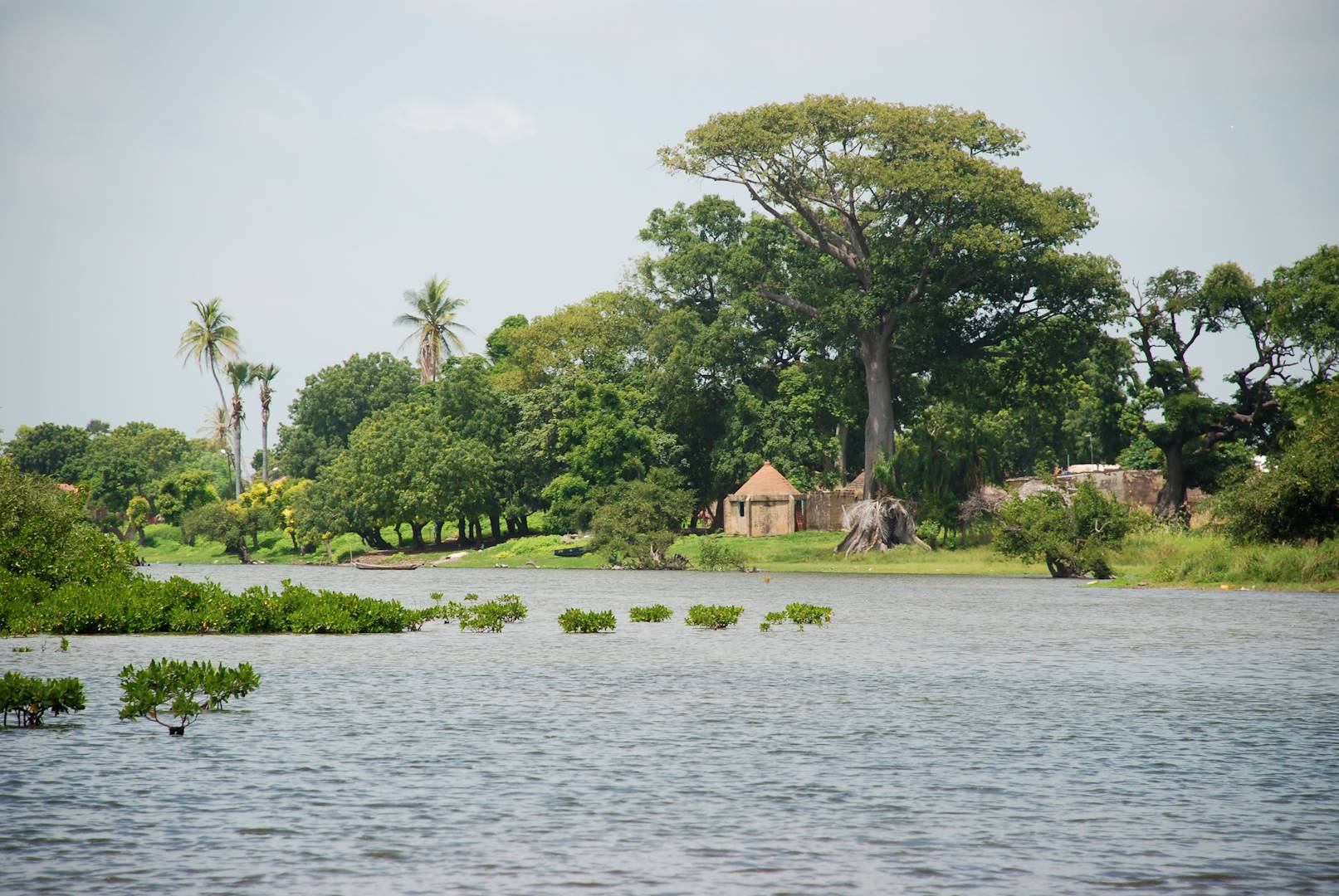 Sine Saloum - Sénégal