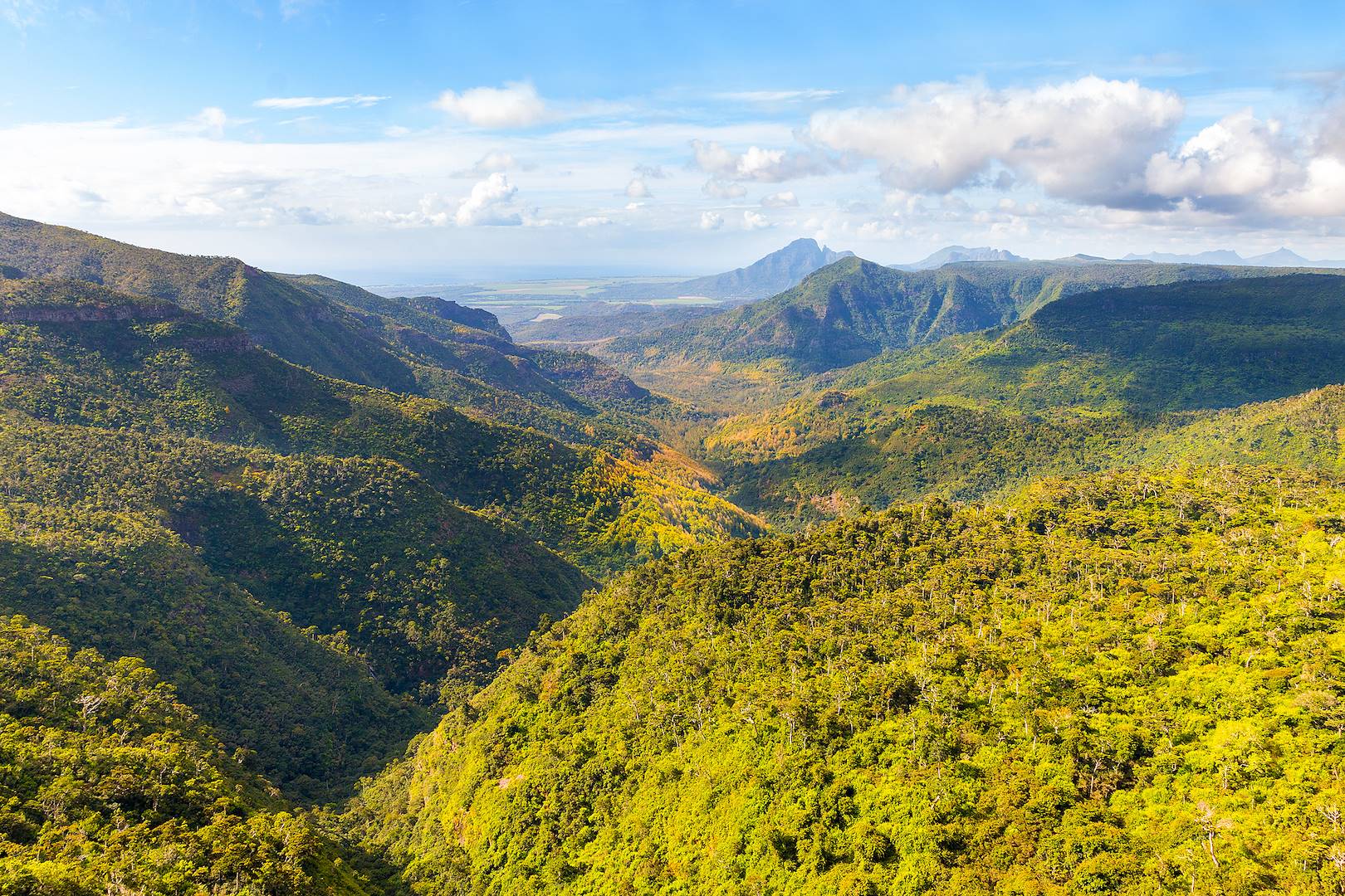 Parc national des Gorges de la Rivière Noire - Rivière Noire - Ile Maurice