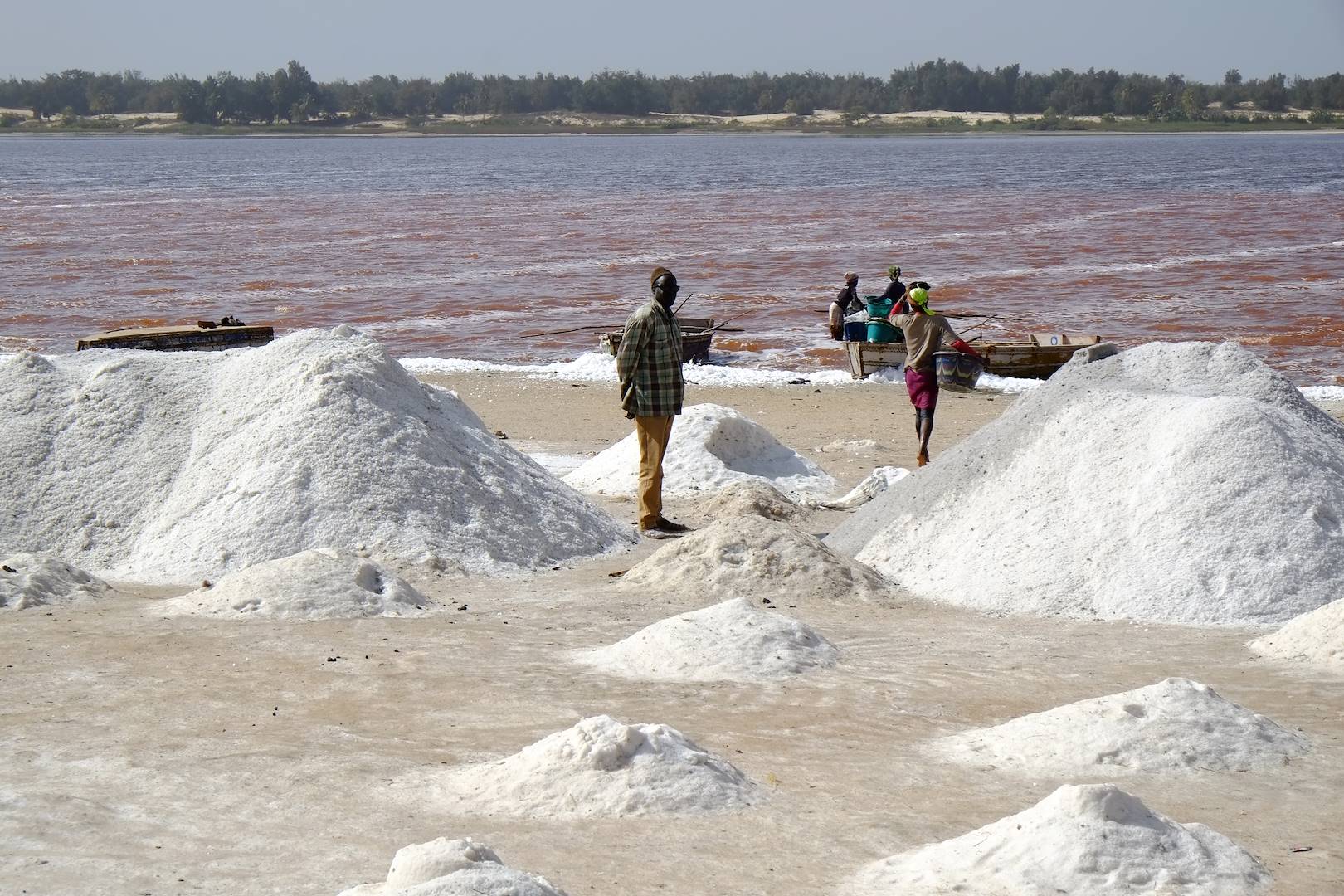 Saliculture sur les rives du lac rose - Région de Dakar - Sénégal