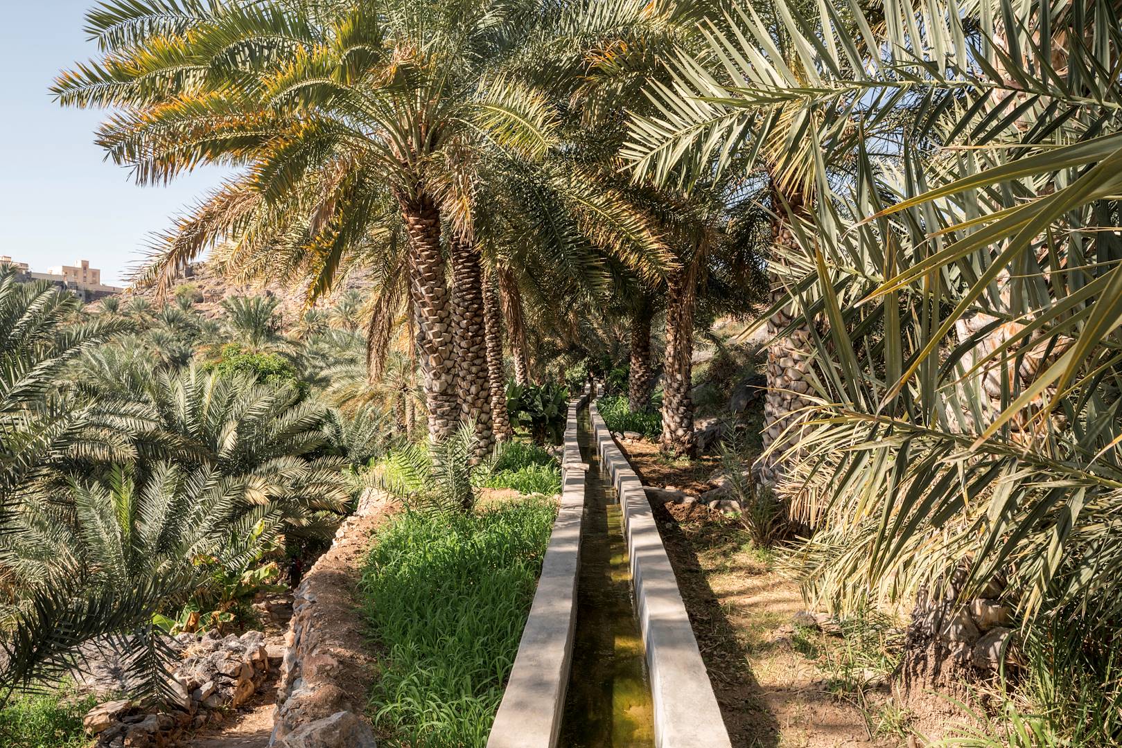 Aflaj - Misfah Al Abreyeen - Oman