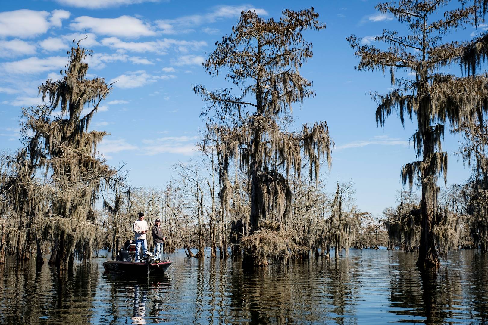 Tour du lac Martin - Louisiane - Etats Unis
