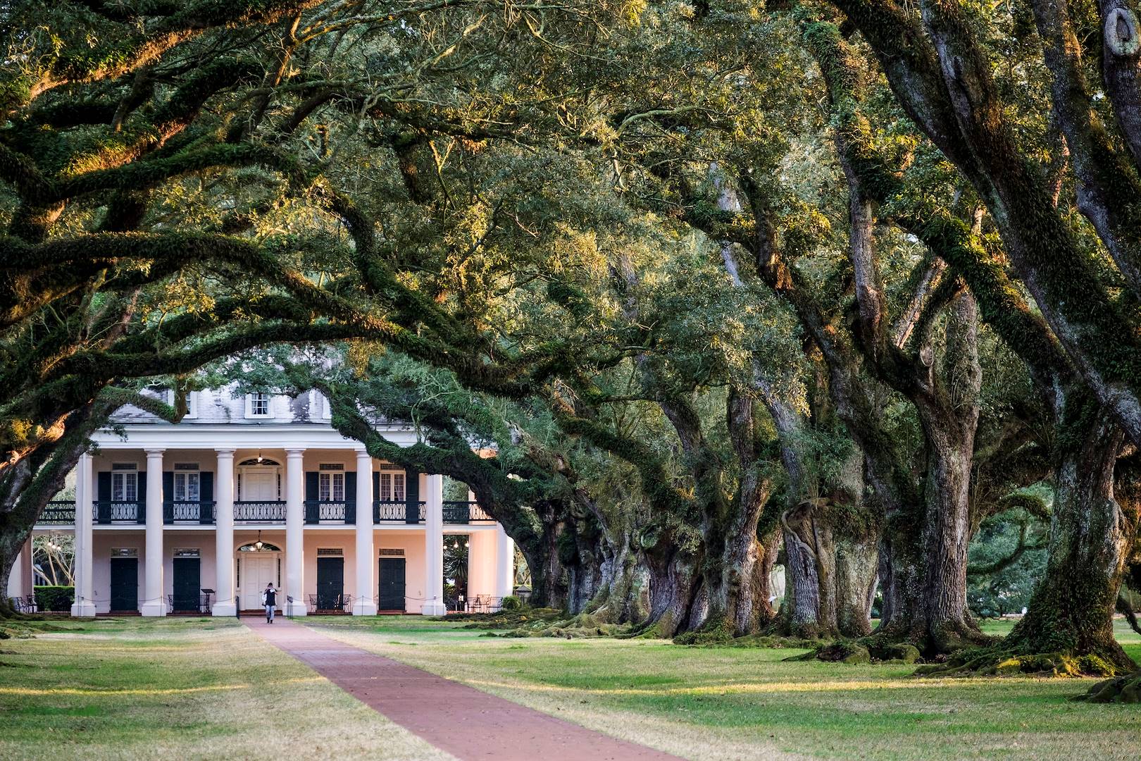 Sur la route des Plantations : la demeure Oak Alley Plantation - Louisiane - Etats Unis