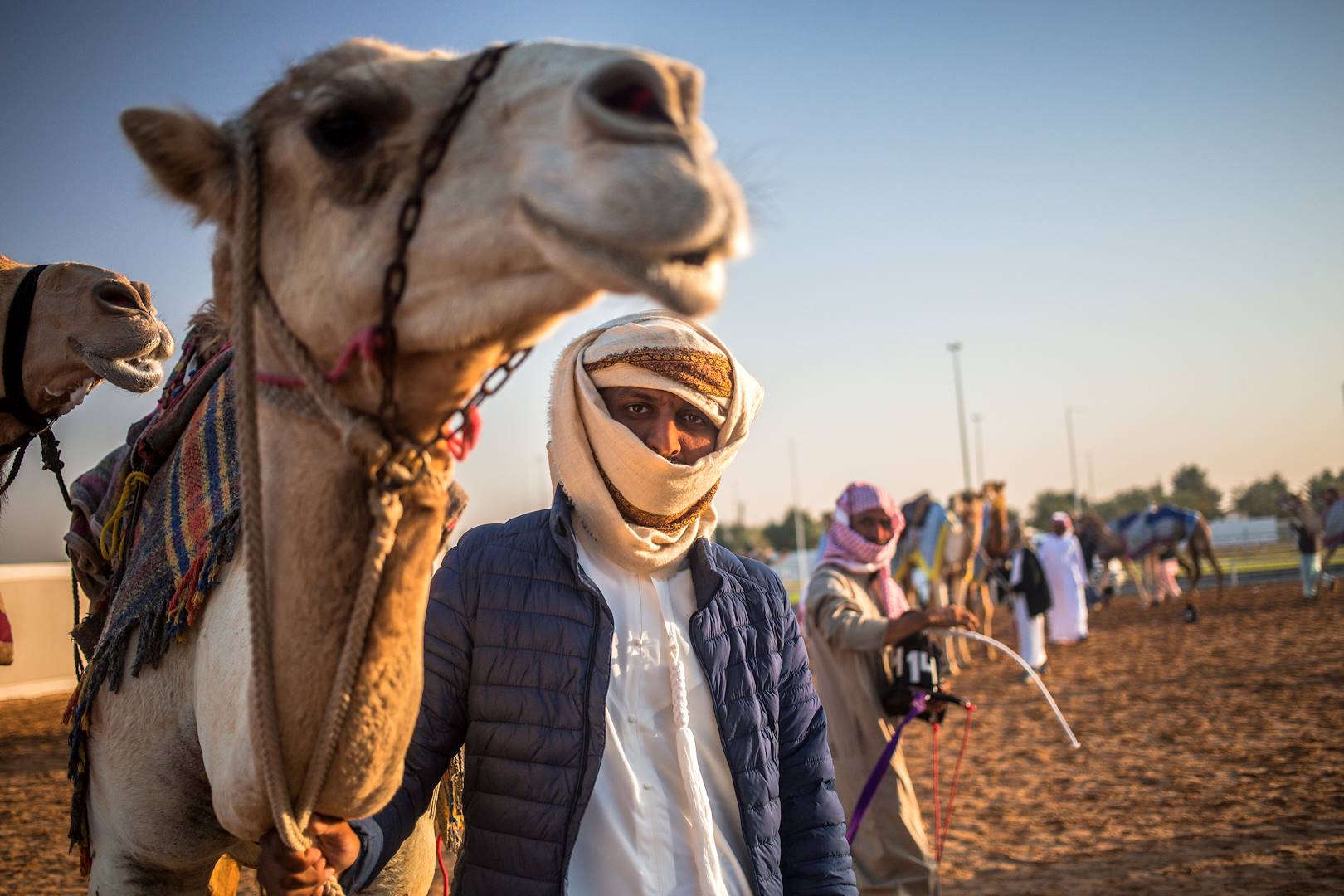 Dubaï Camel Racing Club :  entrainement des chameaux - Dubaï - Emirats Arabes Unis