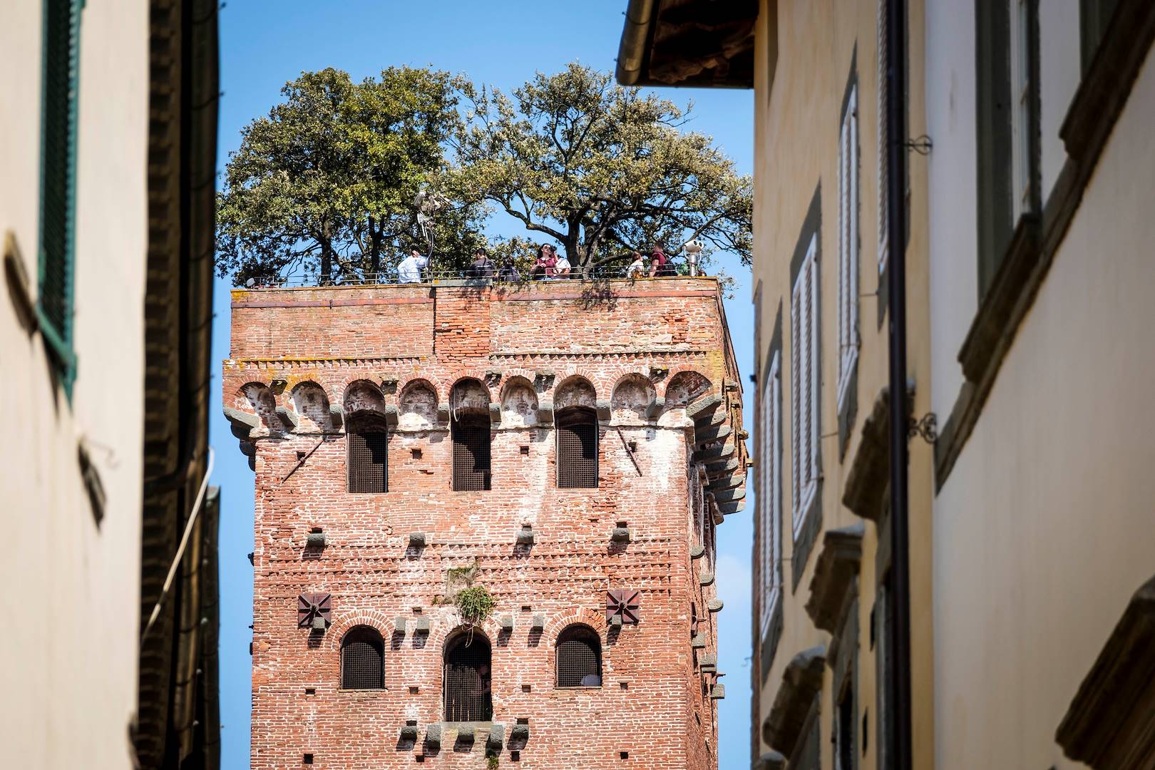 Tour Guinigi - Lucca - Toscane - Italie