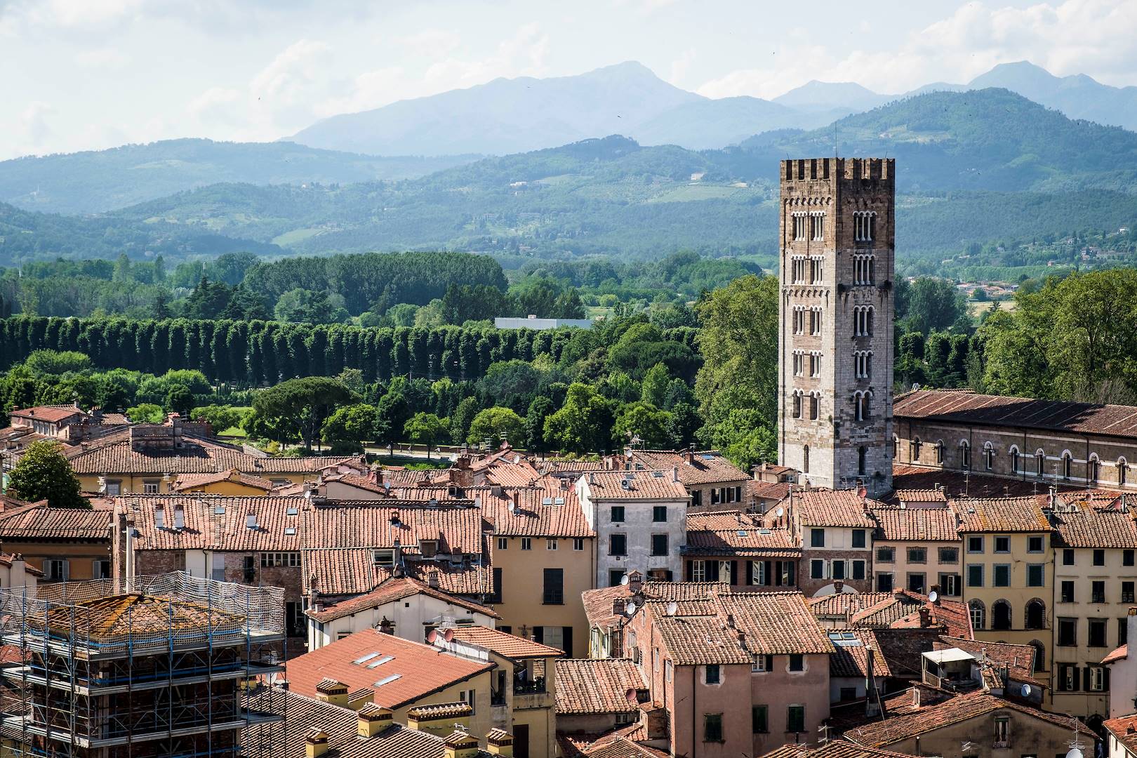 Vue sur Lucca depuis la Tour Guinigi - Toscane - Italie