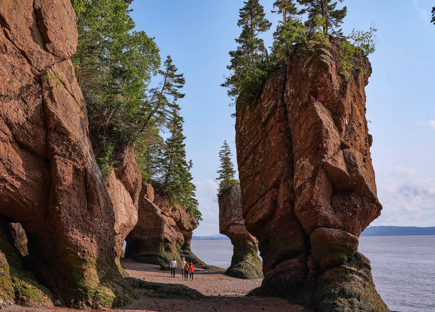 Parc provincial Hopewell Rocks - New Brunswick - Canada