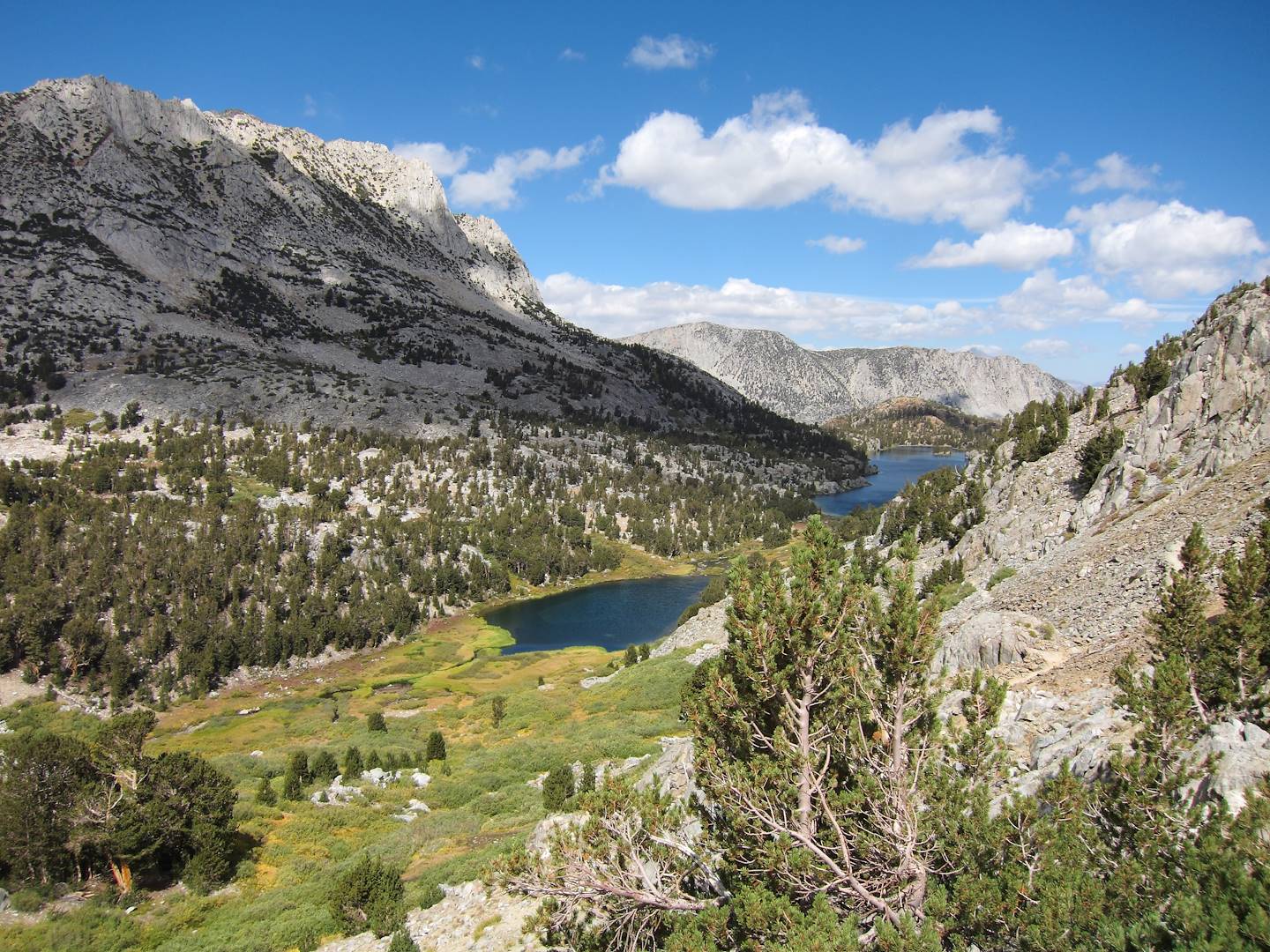 Kings Canyon National Park - Etats-Unis