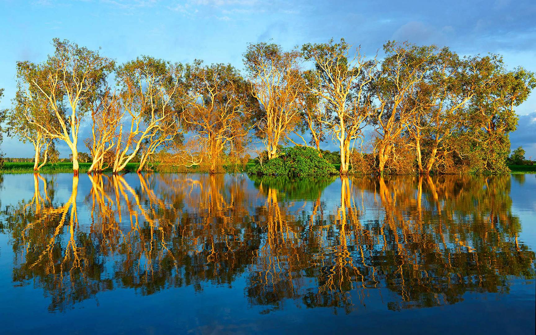 Croisière en groupe sur la Yellow Water River - Kakadu - Australie