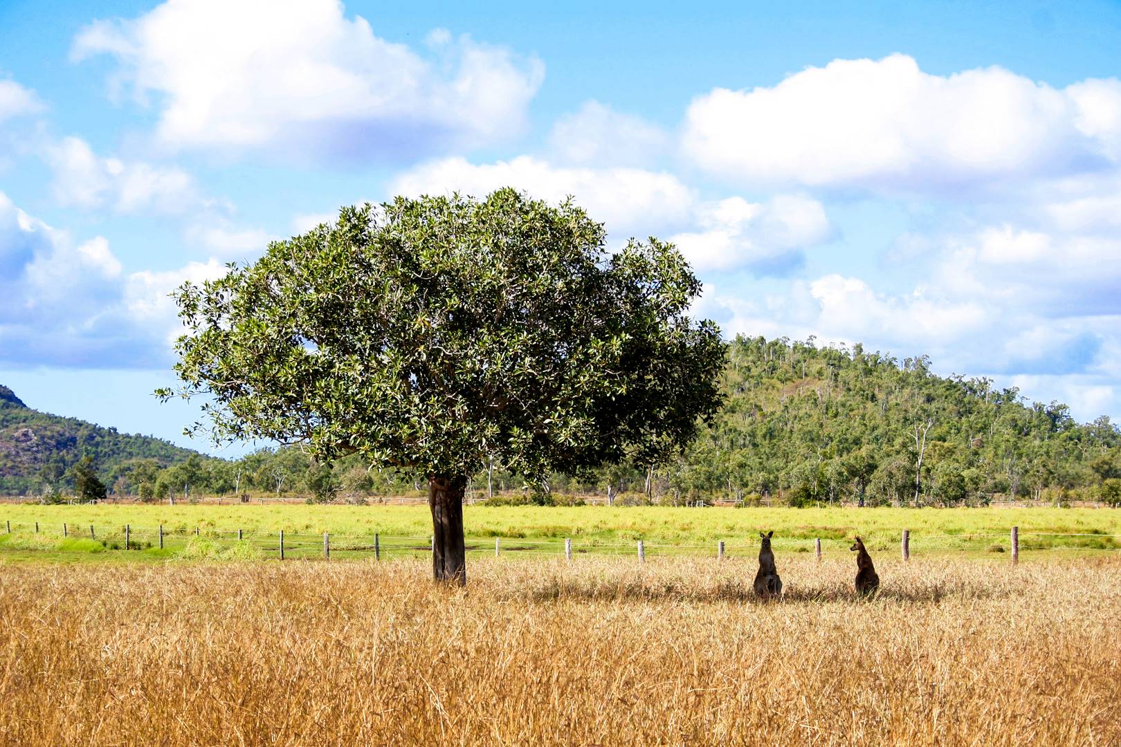 Henderson Park Farm Retreat - Rockhampton - Australie