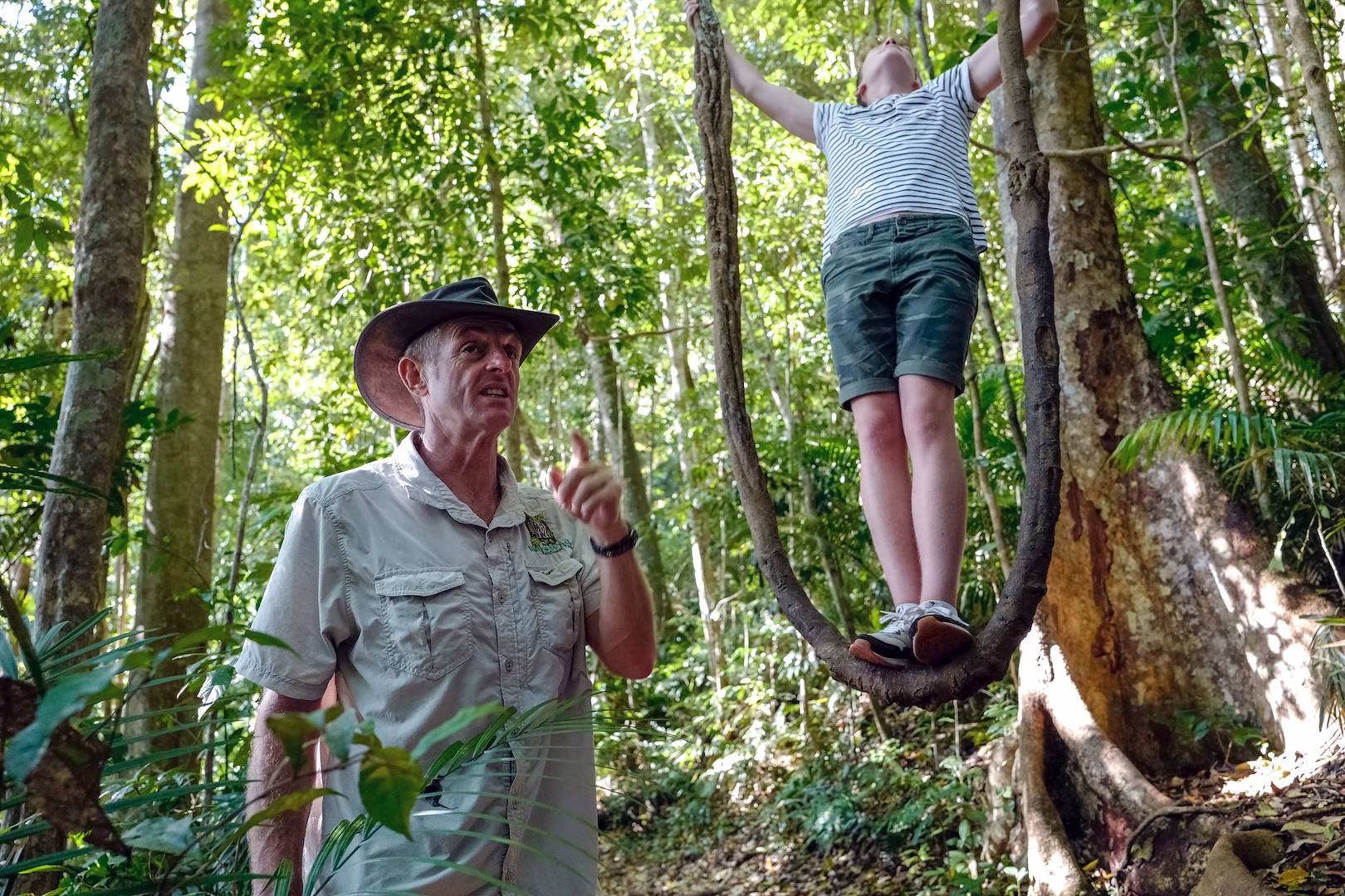 Observation de la faune et flore de la Rainforest - Cairns - Le Queensland - Australie