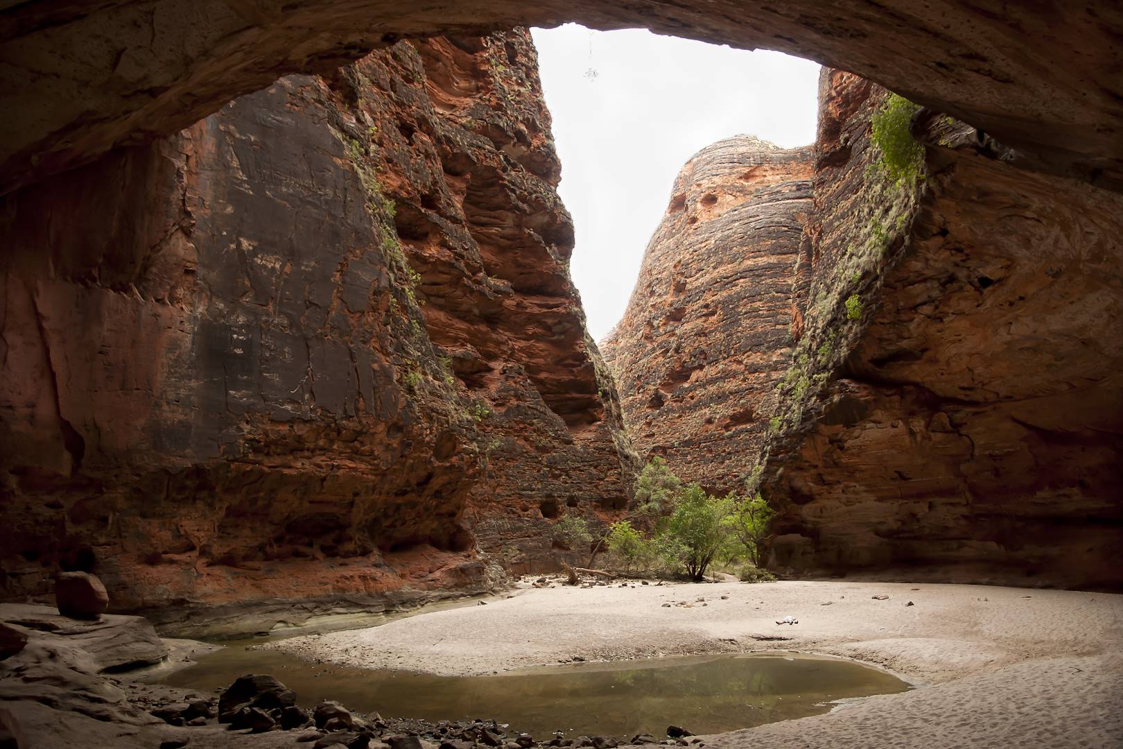 Cathedral Gorge - Parc National Purnululu - Territoire du Nord - Australie