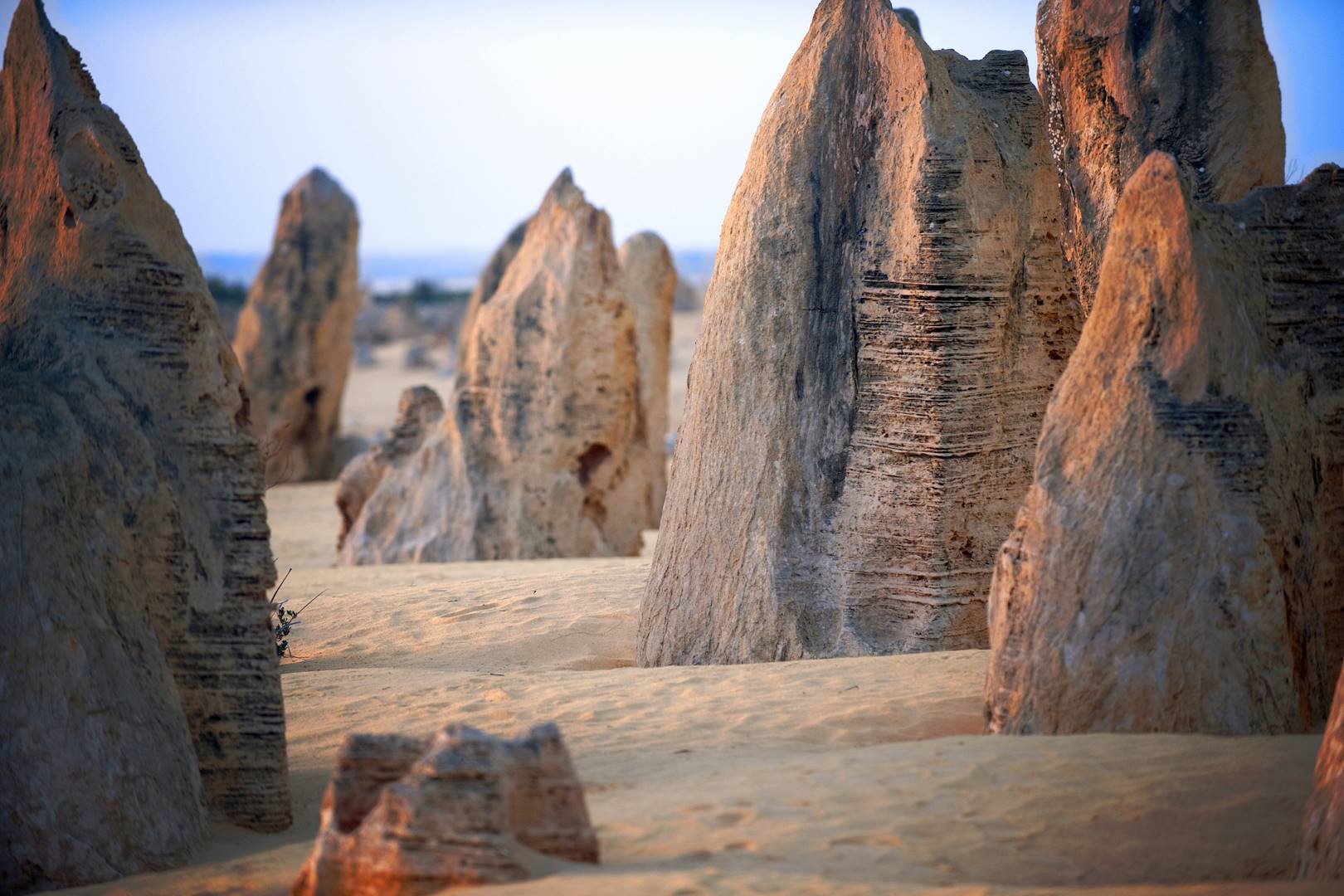 Le désert des Pinnacles - Australie