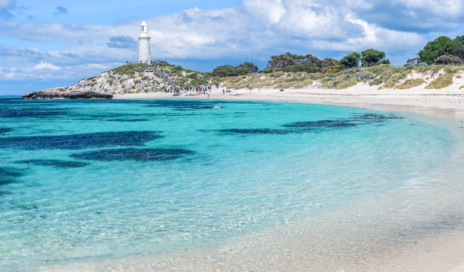 Rottnest Island - Australie occidentale - Australie