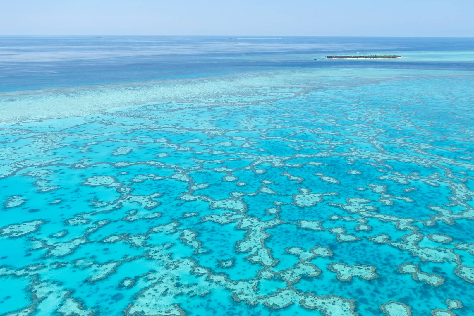 Hébergement à Heron Island - Australie