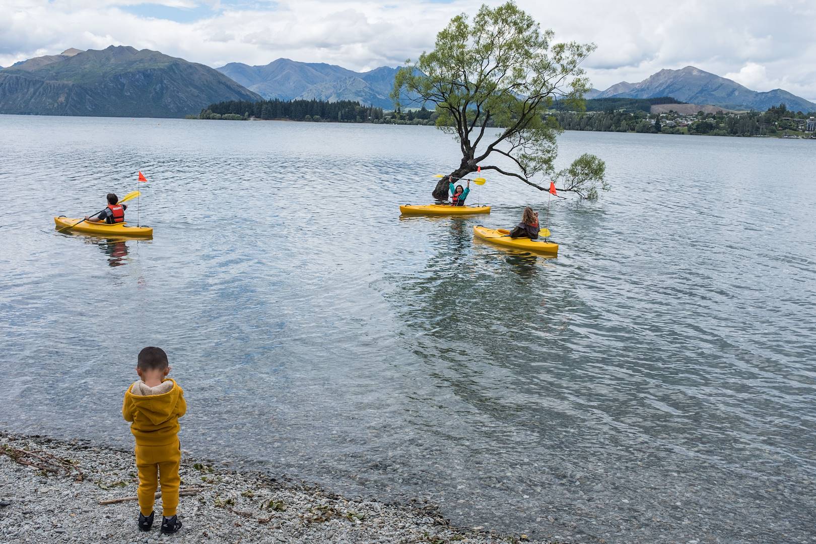 Activité autour de l'arbre du Lac Wanaka - Île du Sud - Nouvelle Zélande