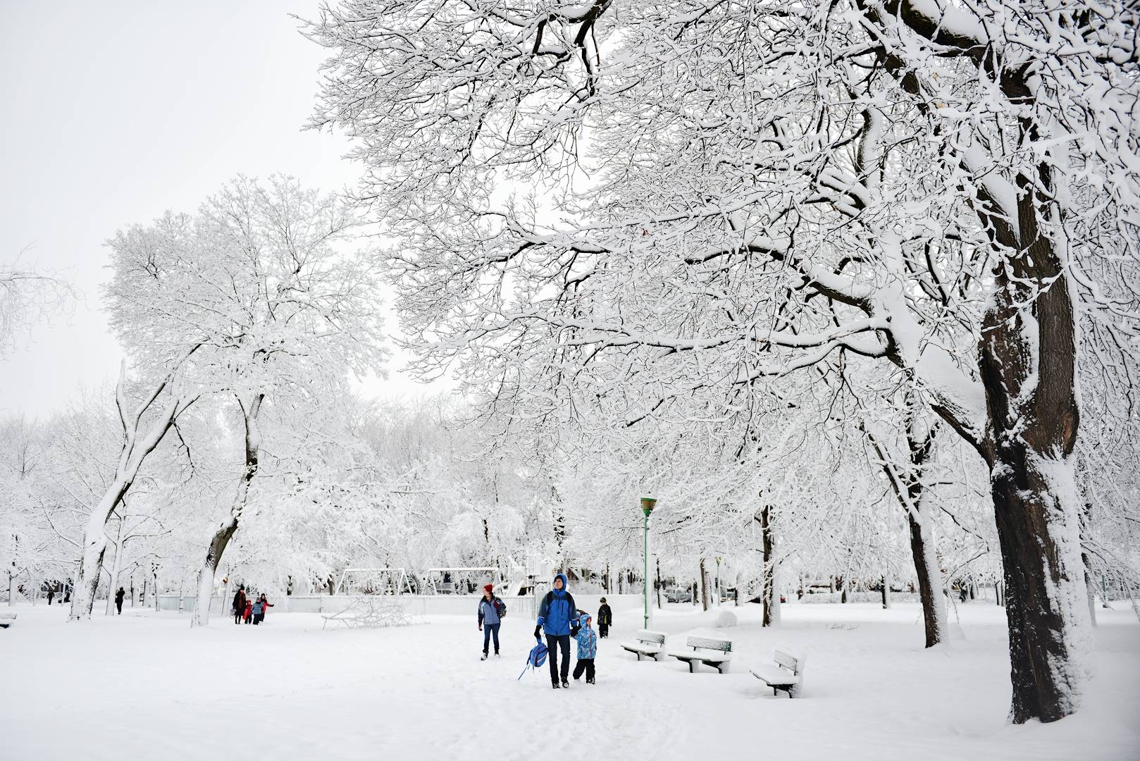 Parc enneigé - Montréal - Québec - Canada
