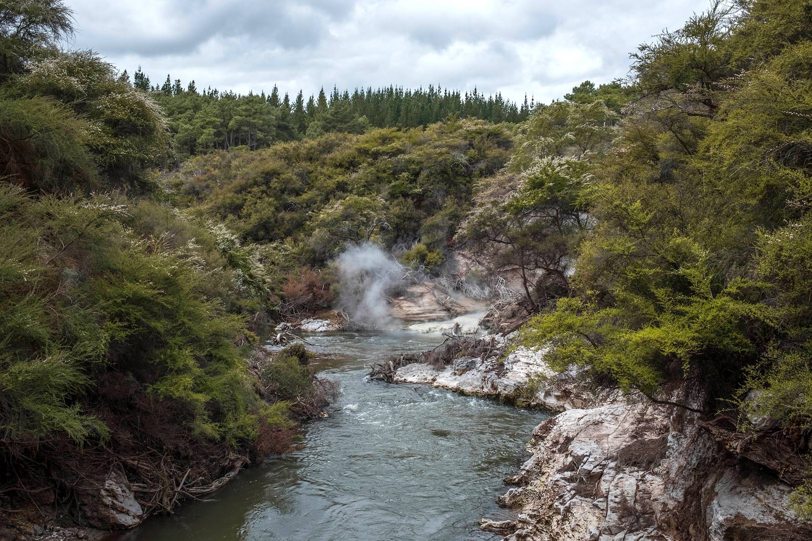Parc géothermique de Waiotapu - Rotorua - Île du Nord - Nouvelle Zélande