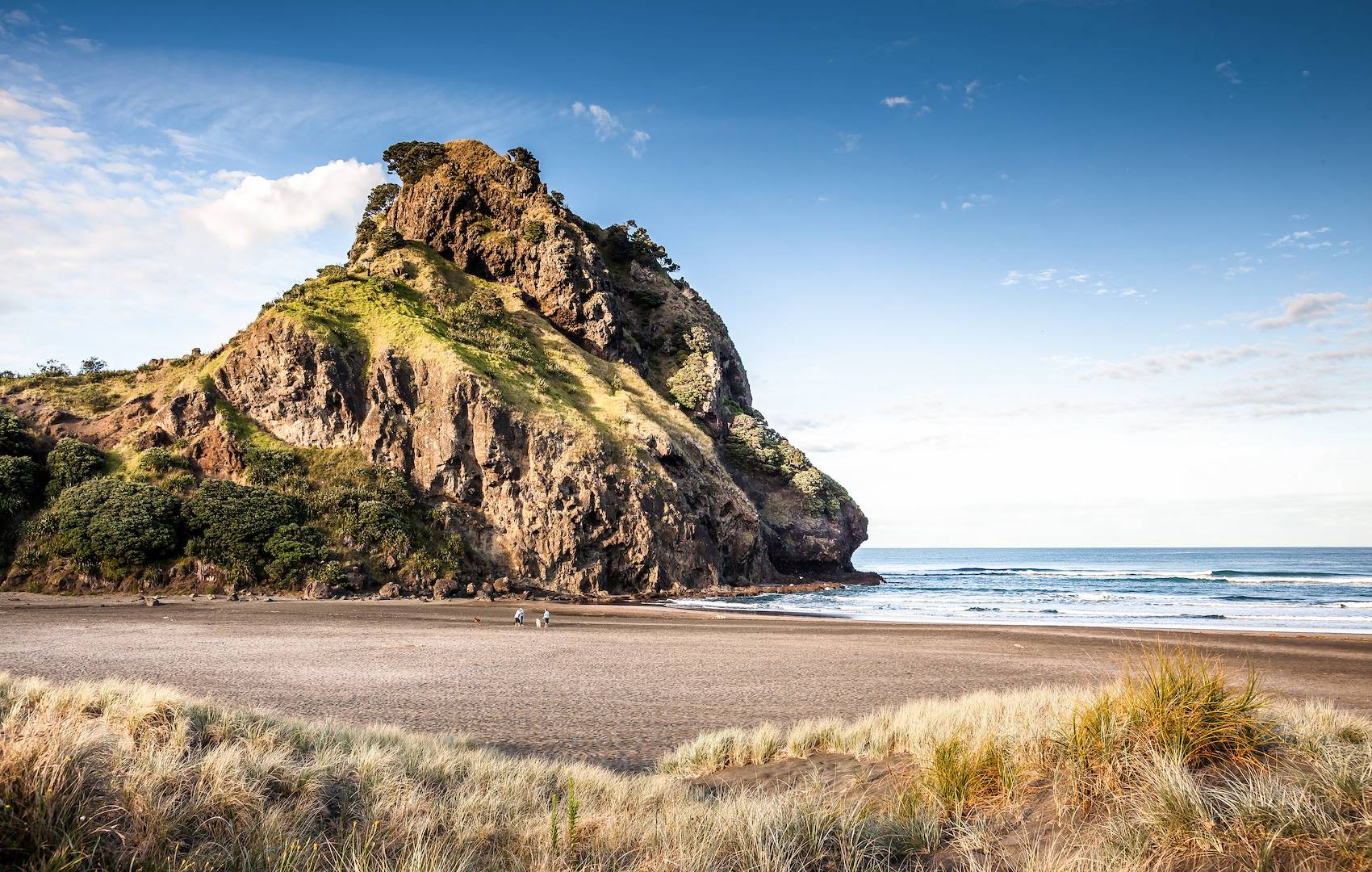 Lion Rock - Waitakere Ranges Regional Park - Ile du Nord - Nouvelle-Zélande