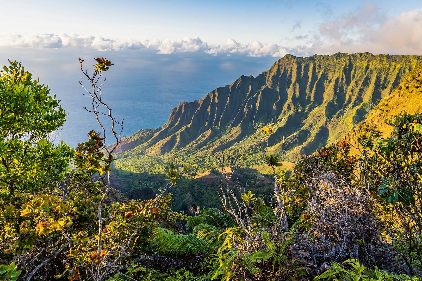 Vallée de Kalalau - Koke'e State Park - Kauai Island - Hawaii - Etats-Unis