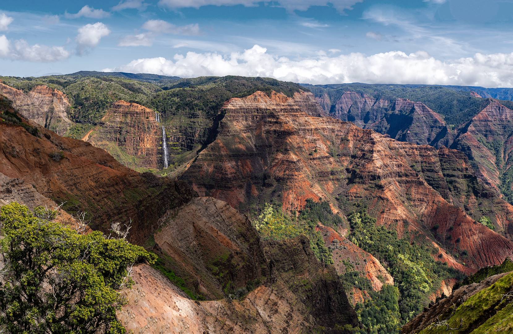 Parc d'État du Waimea Canyon - Kauai - Hawai - Etats-Unis