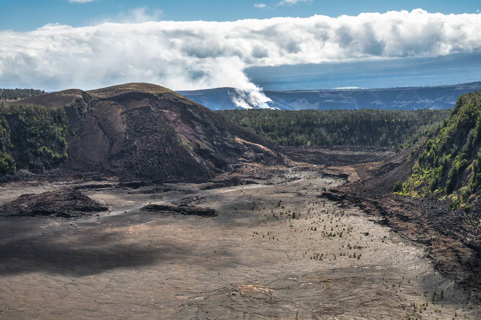 Parc national des volcans d'Hawaï - Volcano - Big Island - Hawai - Etats-Unis