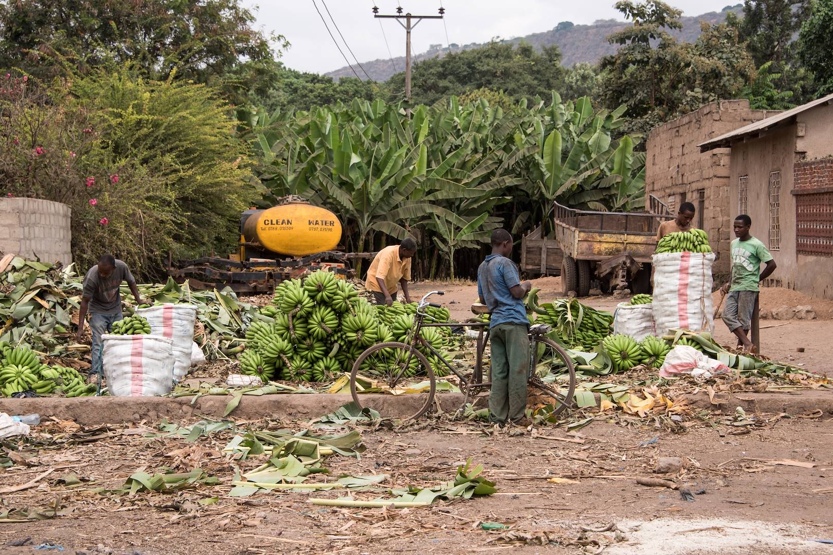 En vélo dans le village de Mto Wa Mbu - Vallée du Rift - Région d'Arusha - Tanzanie