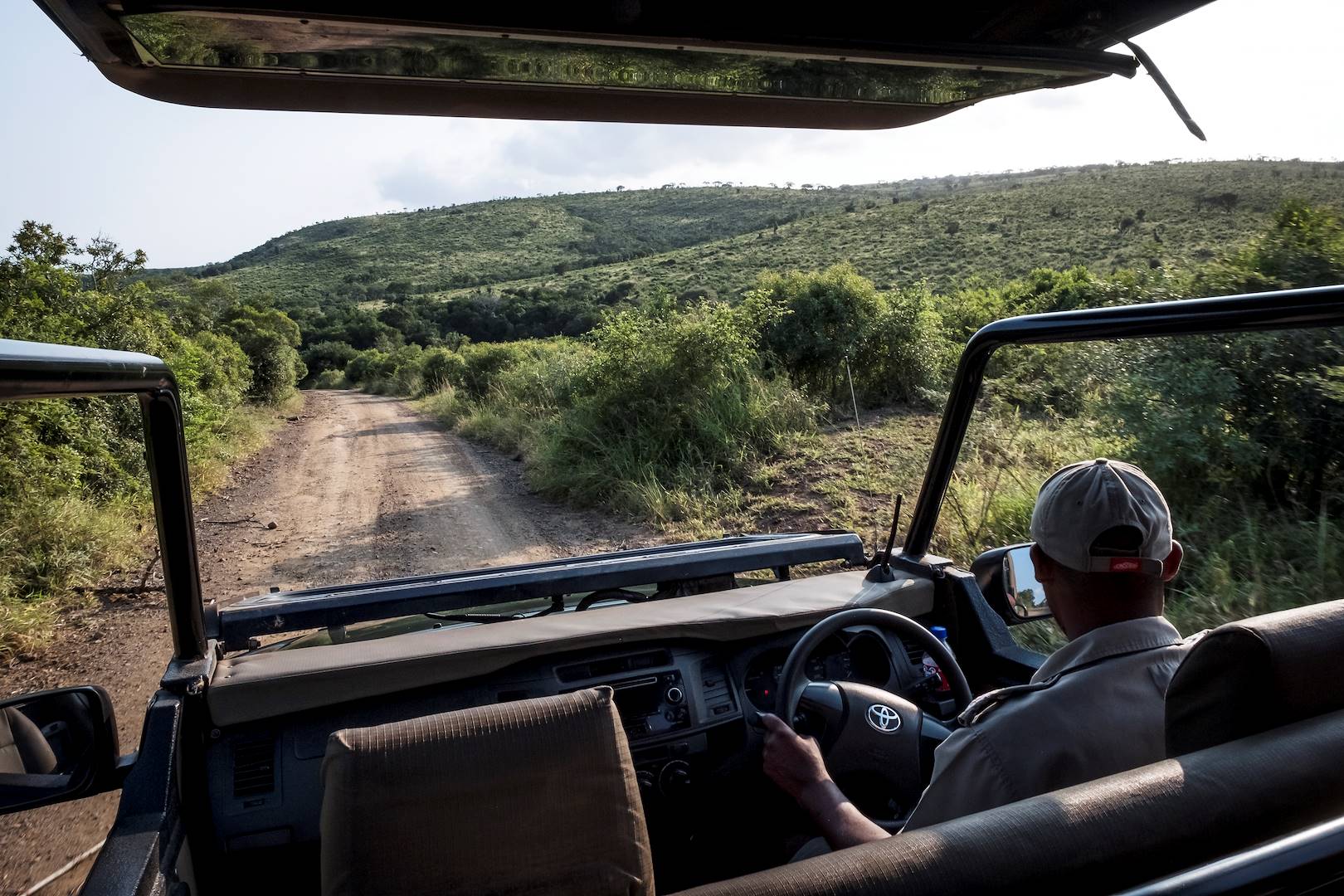 Safari dans le Parc Kruger - Afrique du Sud