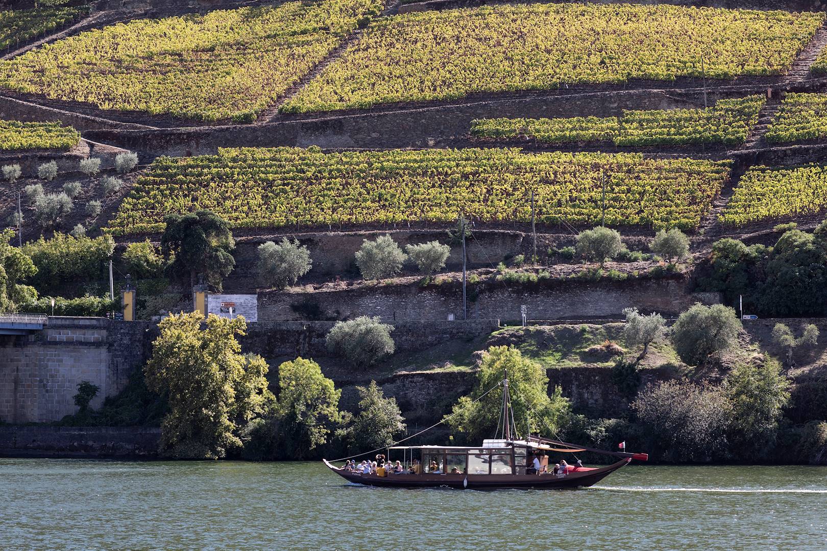 Découverte de la Vallée du Douro en bateau - Portugal