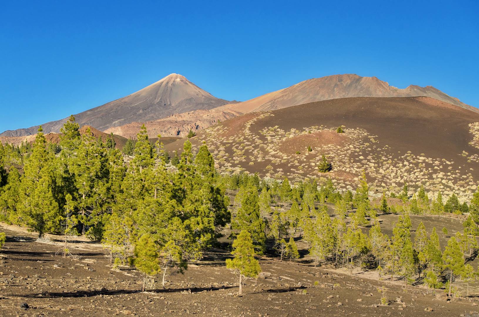 Volcan Teide dans le parc national du Teide - île de Ténérife - Îles Canaries
