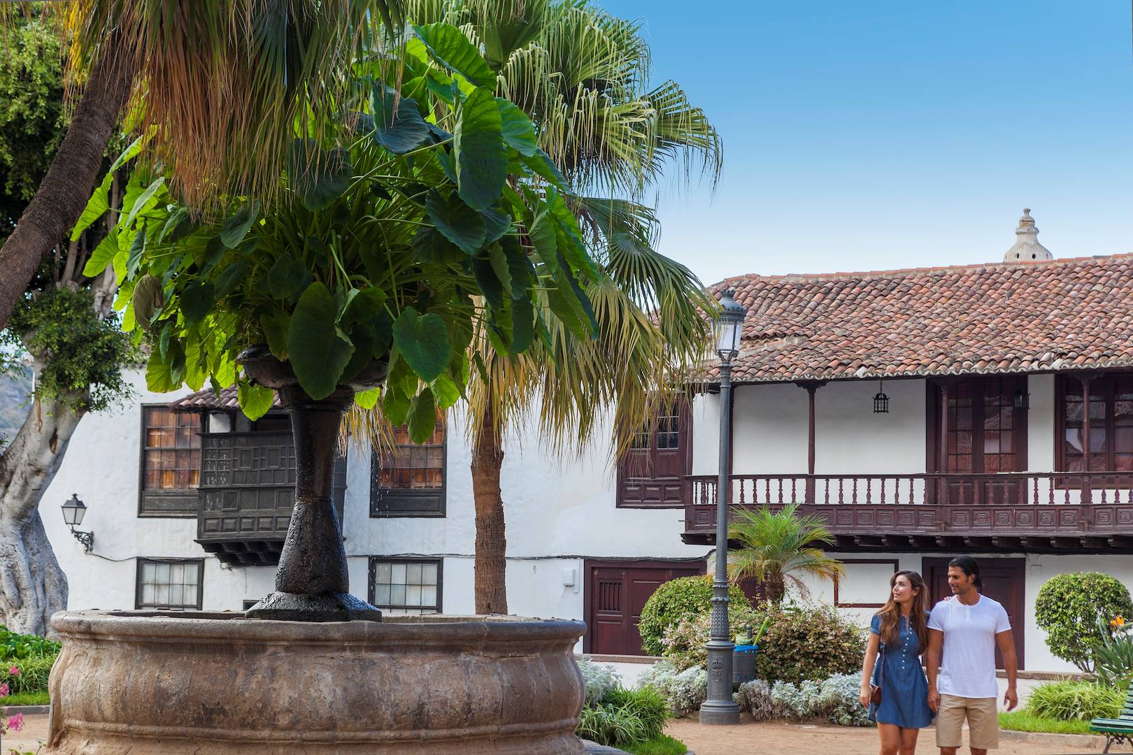 Icod de los Vinos - Ile de Tenerife - Îles Canaries - Espagne
