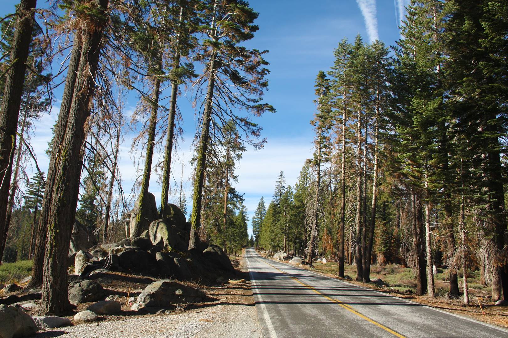Parc national de Yosemite - Californie - Etats-Unis