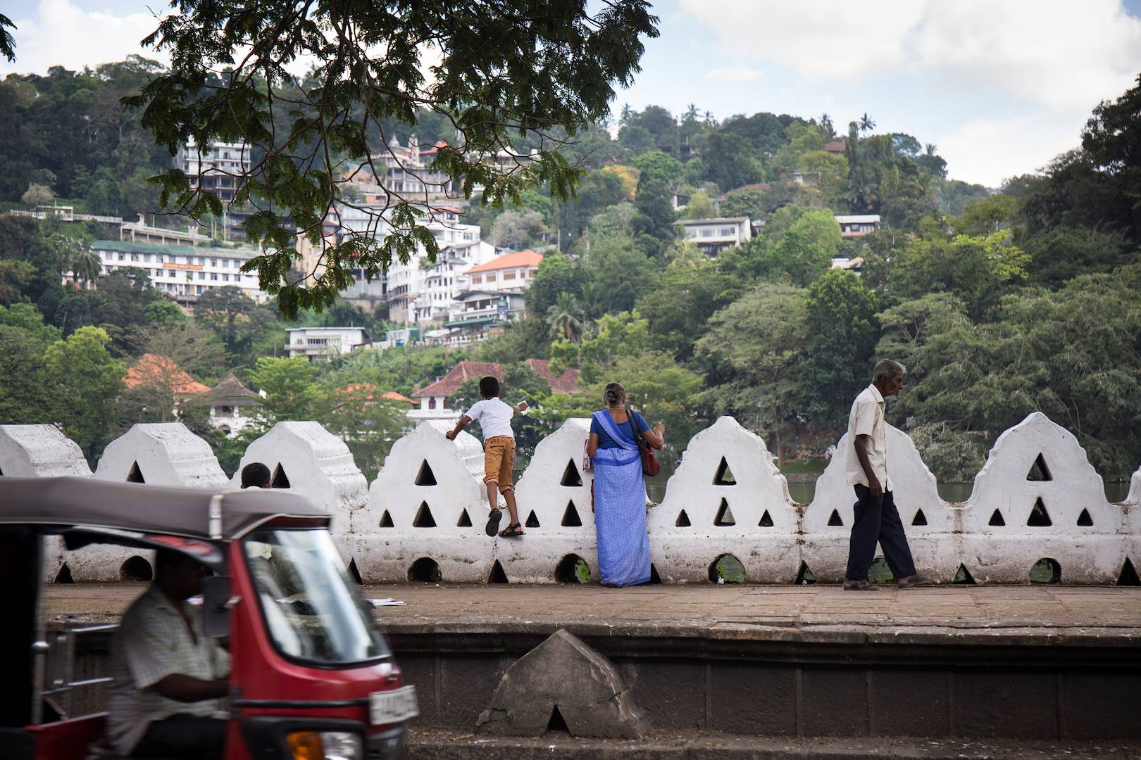 Rive du lac artificiel de Kandy - Kandy - Centre - Sri Lanka