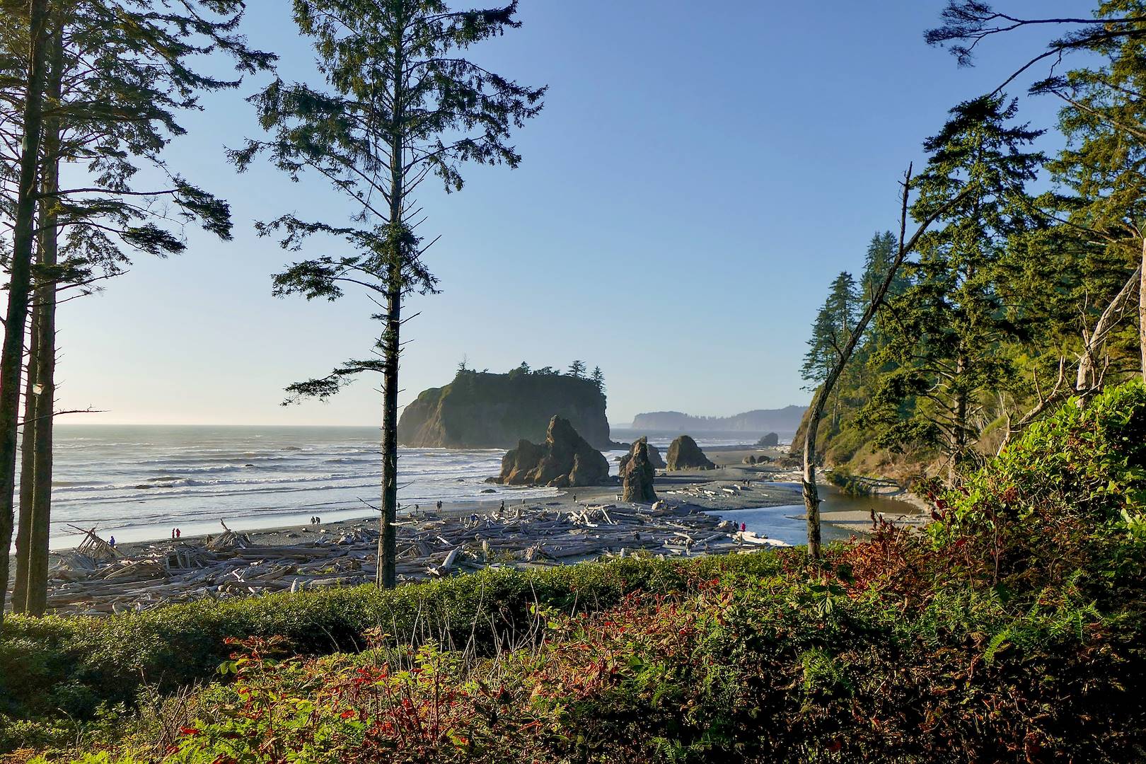 Parc national Olympique - Washington - Etats-Unis